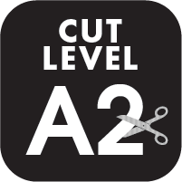 /ansi-cut-level-a2 Icon