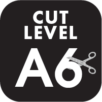 /ansi-cut-level-a6 Icon