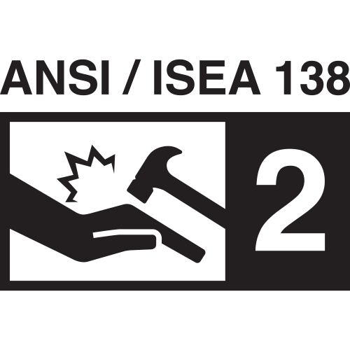 /ansi-isea-138-level-2 Icon